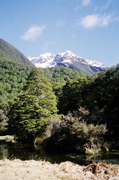 Looking up Travers Valley